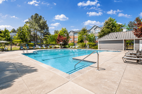 A large outdoor swimming pool surrounded by a concrete patio and a metal fence.