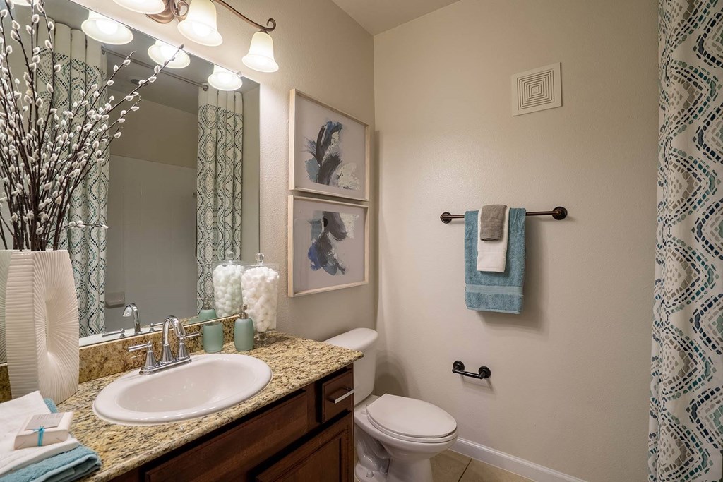 Bathroom With Bathtub  at Orion Prosper Lakes, Texas, 75078
