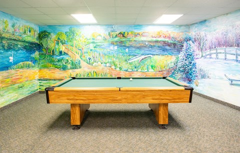 Billiards at Willow Creek Apartment, Kalamazoo, MI, 49008