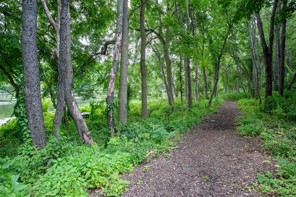 Willow Creek - Walking Trail