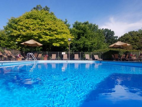 a swimming pool with chairs and umbrellas and trees in the background