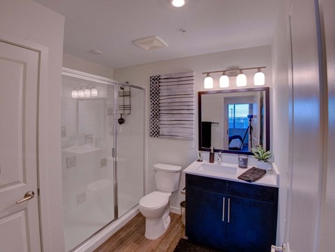 Radius Orlando Apartments