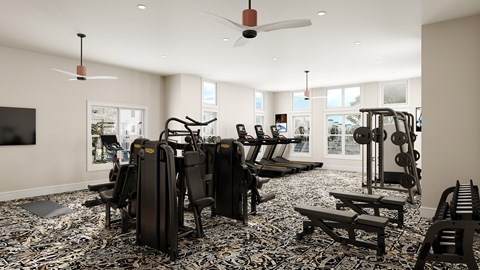 A gym with a variety of equipment including treadmills, weights, and a bench press.