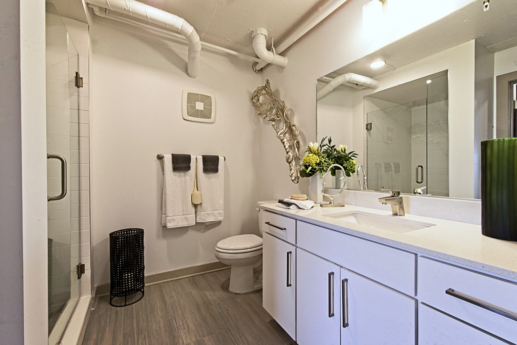 a bathroom with a sink and a toilet and a shower