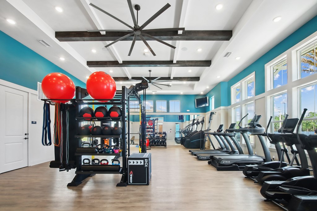 A gym with a row of treadmills and a rack of exercise equipment.