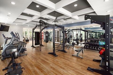 Luxury Apartments in Ridgeville, SC, with In-Unit Washer and Dryer - Preserve at Ridgeville - Fitness Center With Cardio Machines, Weight Racks, Strength Training Stations, And Mirrored Walls.