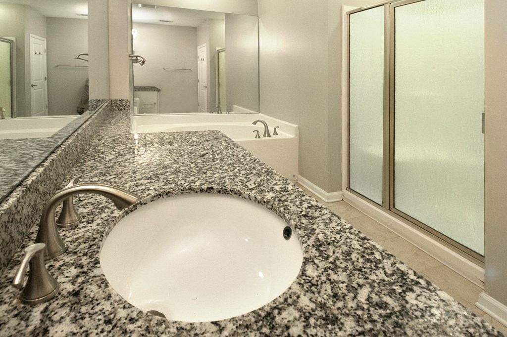 a bathroom with a sink and a shower and a mirror