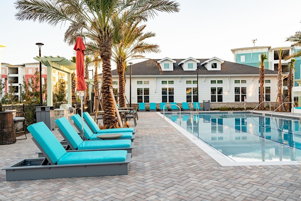 A pool area with a palm tree and lounge chairs.