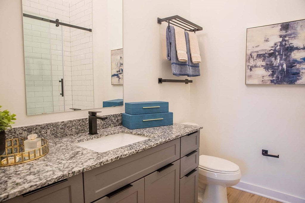 a bathroom with a sink and a toilet