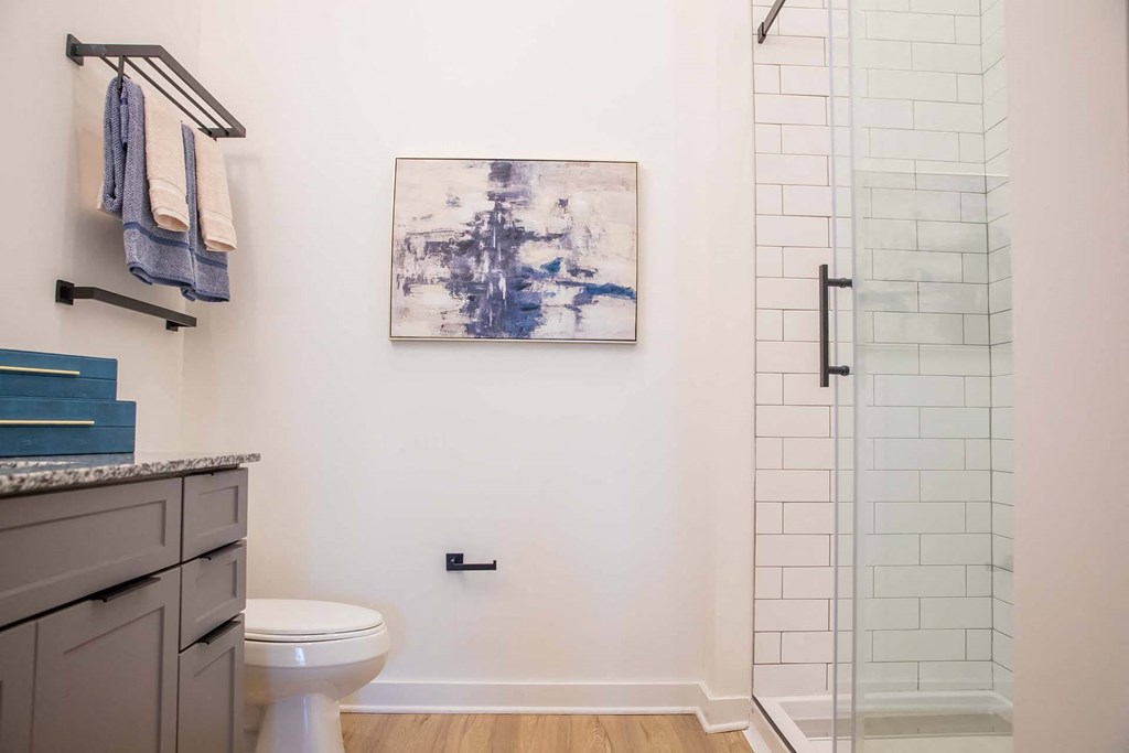 a bathroom with a toilet and a walk in shower