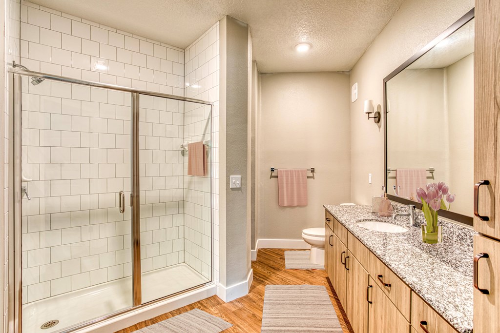 A bathroom with a walk-in shower, toilet, and sink.