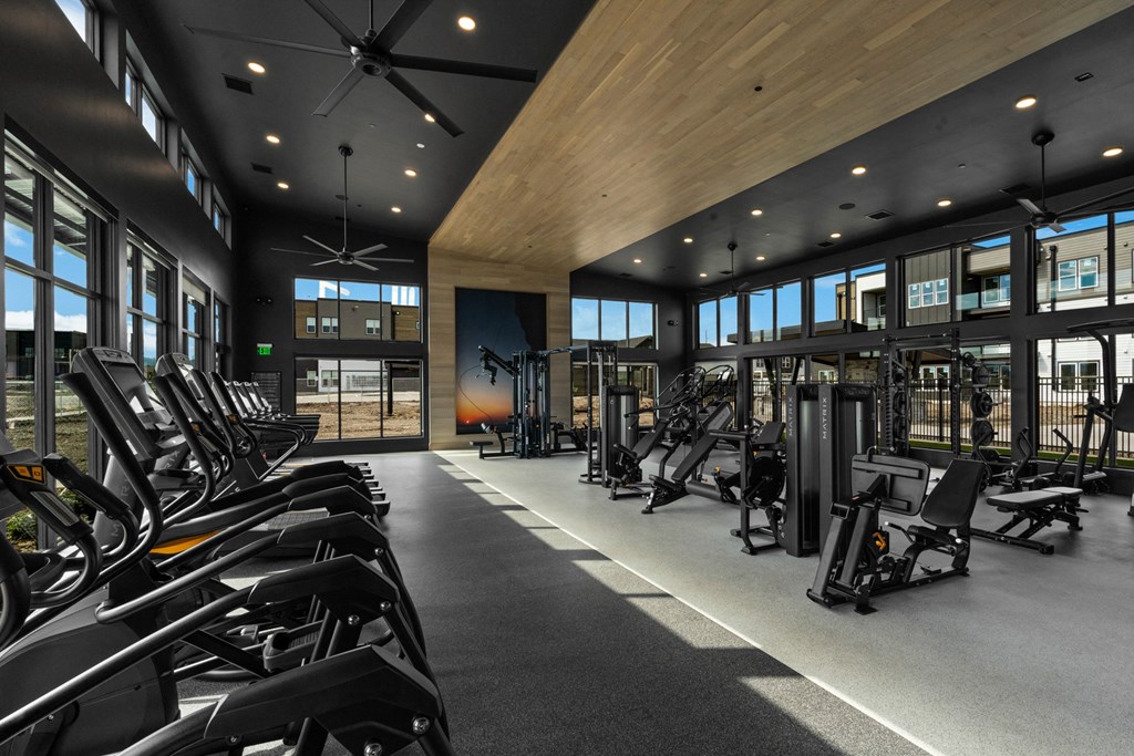 a gym with treadmills and other exercise equipment and windows