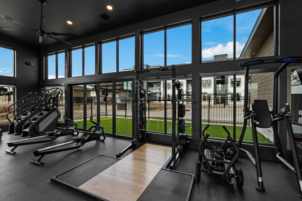 a gym with exercise equipment and windows with a view of the yard