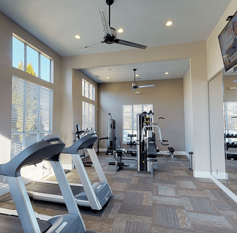 Charlotte, NC, Apartments Near Target - Coffey Creek - A Fitness Center With Treadmills, Strength Training Equipment, Ceiling Fans, Large Windows With Blinds, And A Wall Mirror.