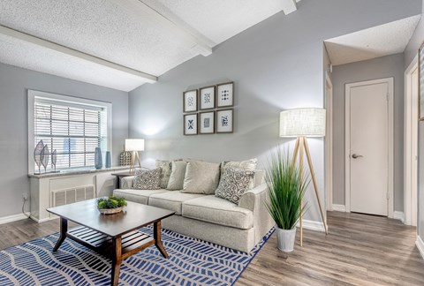 A living room with a couch, coffee table, and a plant.