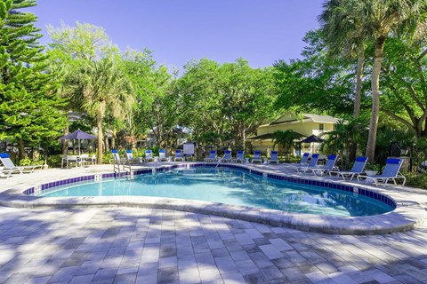 Riverview, FL, Studios for Rent - Sherwood Oaks Apartments - Resort-Style Swimming Pool With Curved Deck, Blue Lounge Chairs, Umbrella Seating, Trees, and Lush Green Landscaping.