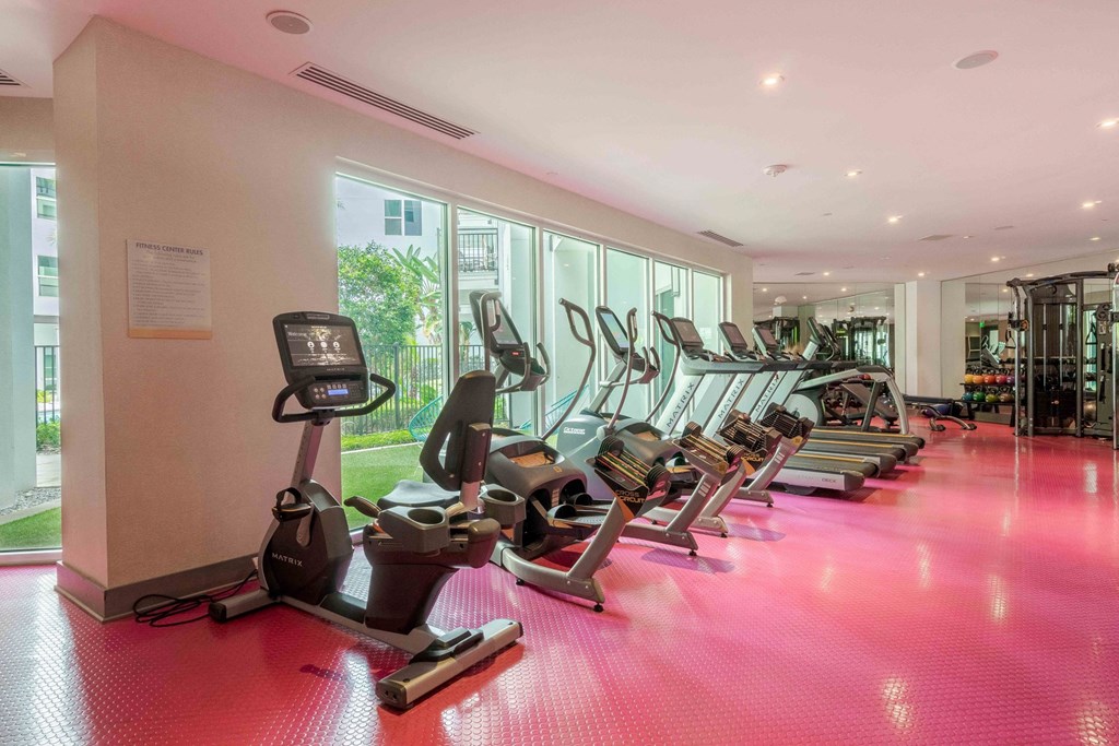 A gym with treadmills and elliptical machines.