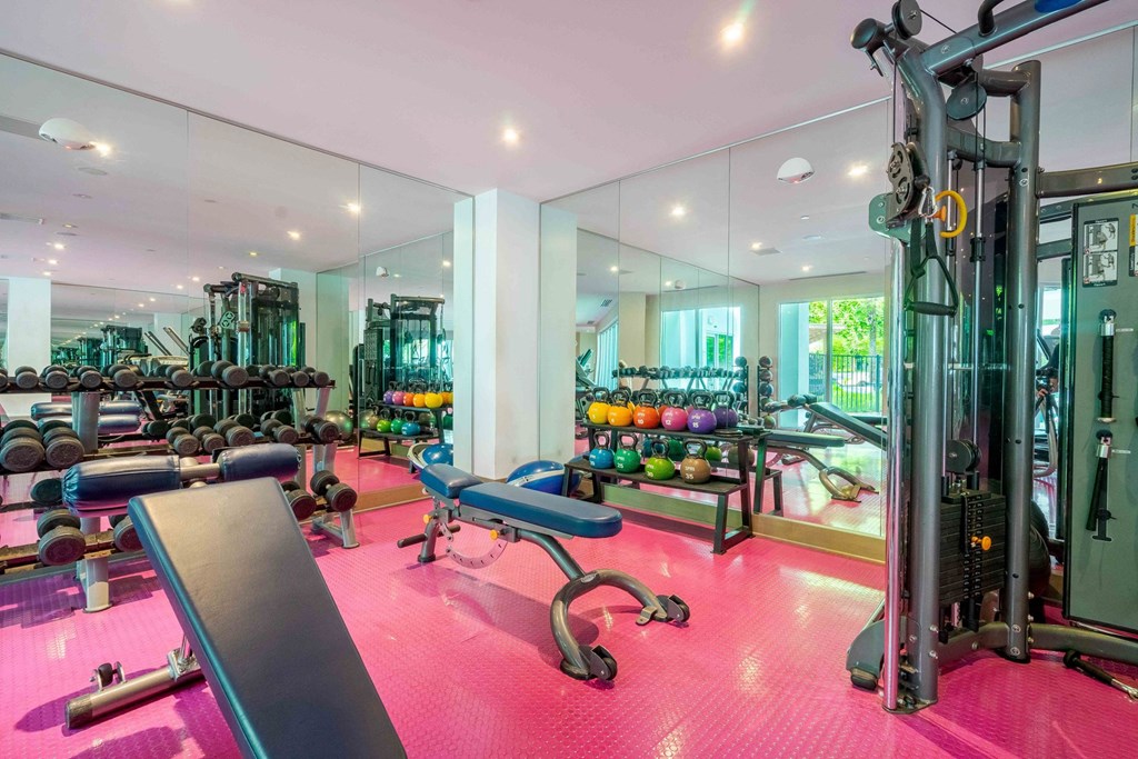 1-Bedroom Apartments in Tampa, FL - Society Westshore - Fitness Center with Free Weights, Workout Benches, Strength Training Machine, and Mirror Walls.