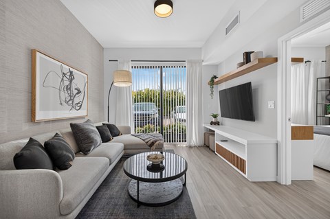 A modern living room with a grey sofa, a coffee table, and a television.