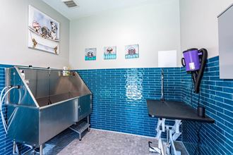 a kitchen with blue tiles and a sink and a coffee maker