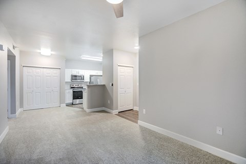 STETSON RIDGE LIVING AREA