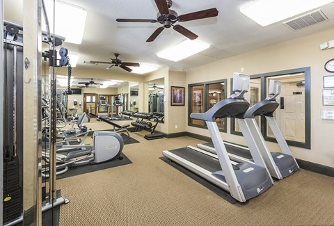 Updated Fitness Equipment