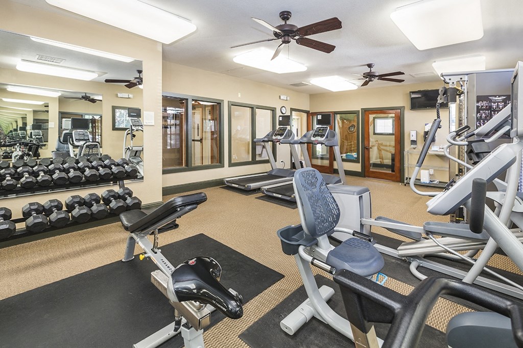 Updated Fitness Equipment