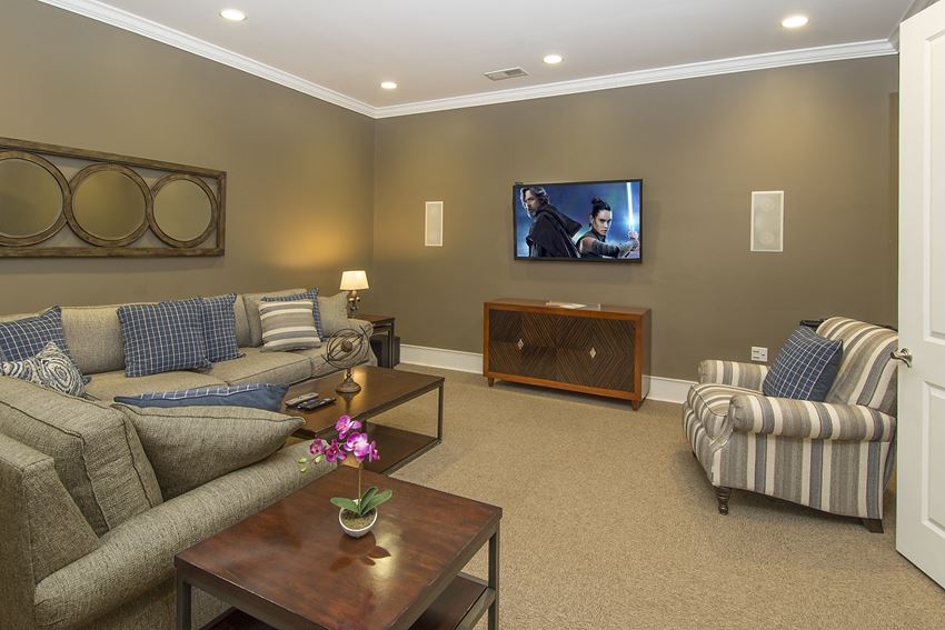 tv and media room