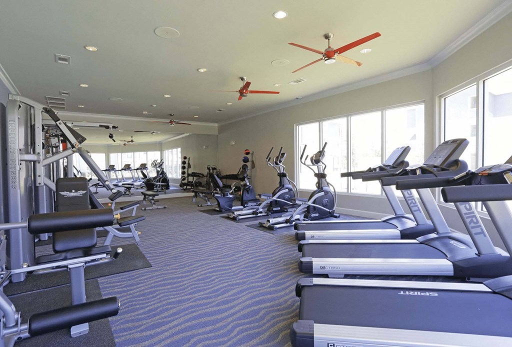 a gym with cardio equipment and large windows