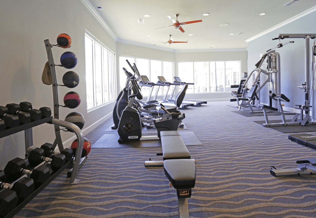 a gym with weights and a horse statue in the center of the room