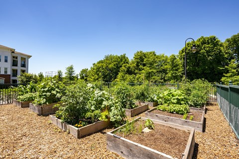 The Everly At Historic Franklin