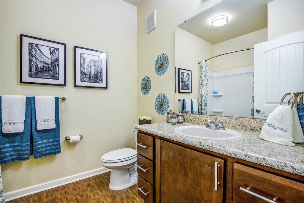 a bathroom with a sink and toilet and a mirror