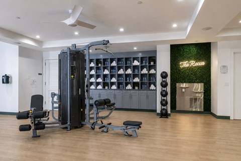 A gym with a variety of equipment including a squat rack, bench, and weights.
