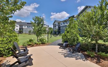 A sunny day at a park with chairs and trees.