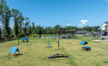 A park with a blue bench and a black object in the middle of the grass.