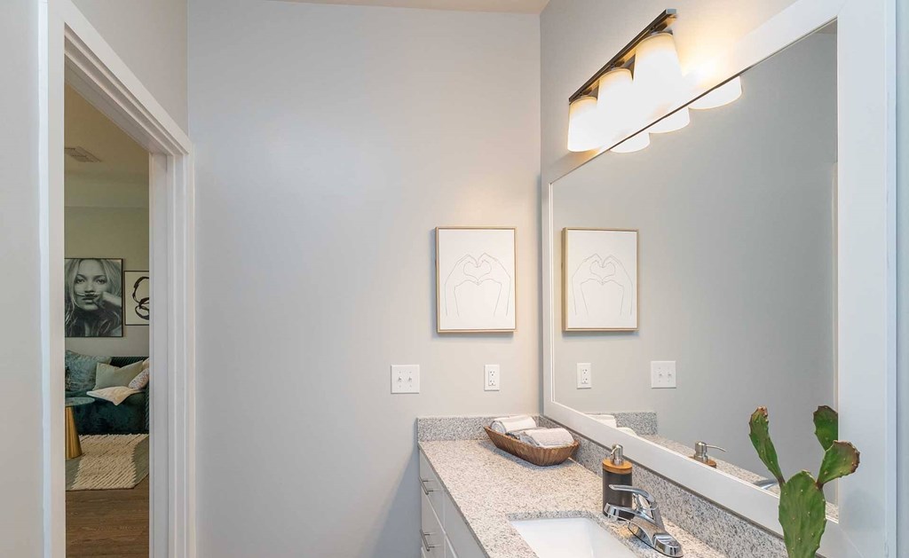 A bathroom with a sink, mirror, and a cactus.