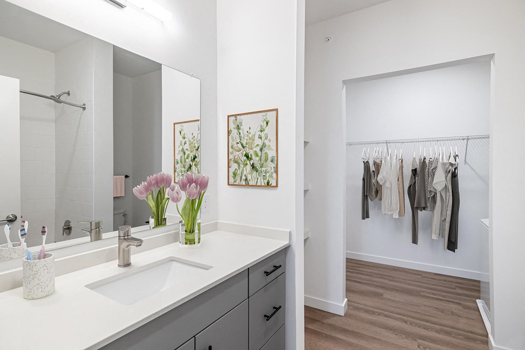 a bathroom with a sink and a mirror