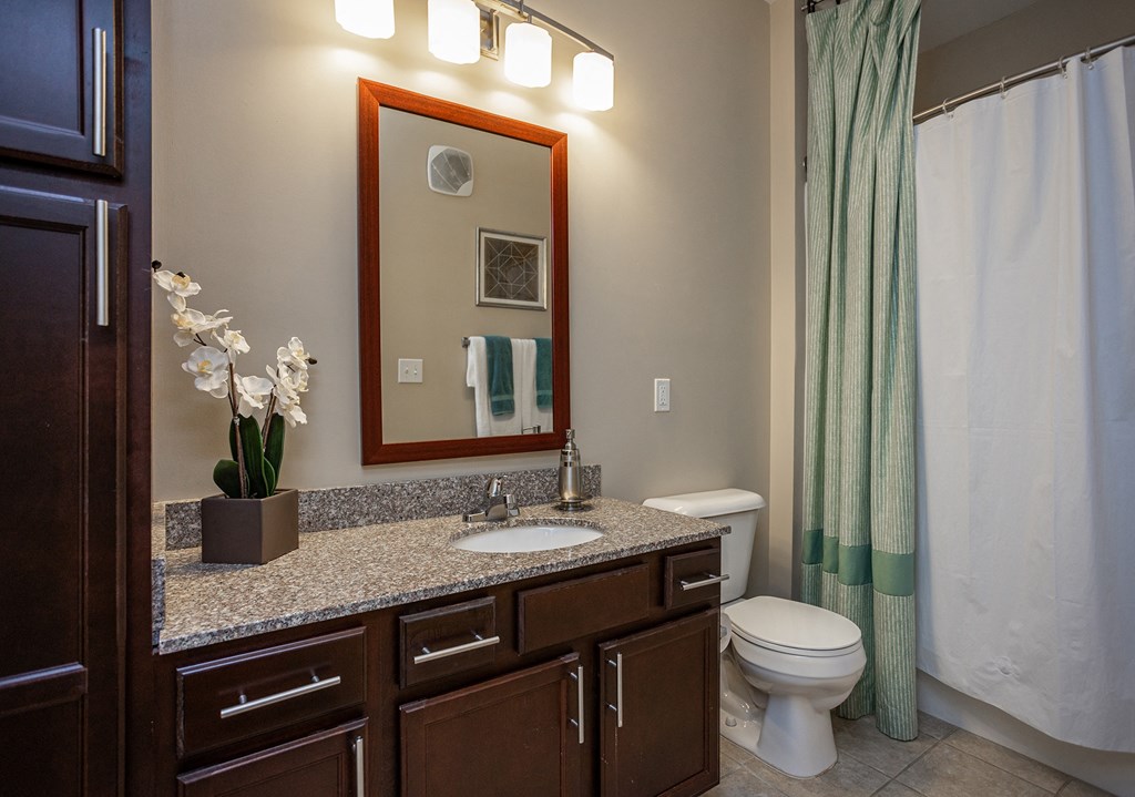 a bathroom with a sink and a toilet and a mirror