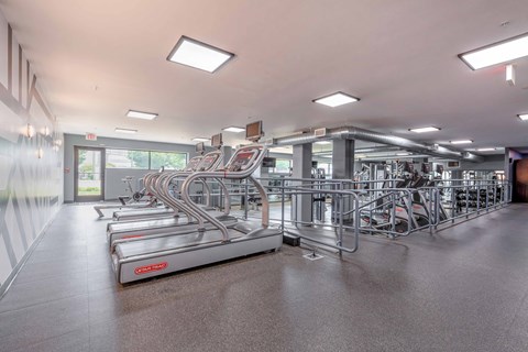 a large fitness room with cardio equipment