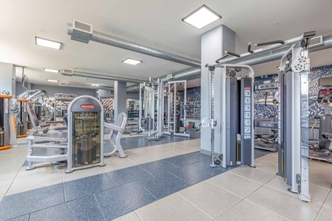 a spacious fitness center with cardio machines and weights