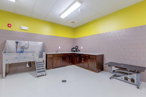 a large room with a sink and a bench