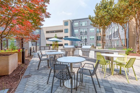 our apartments showcase a naturally well lit patio