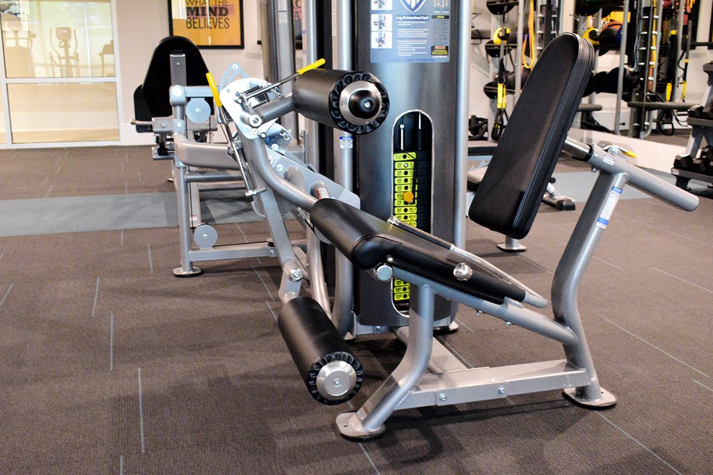 a row of exercise machines in a gym