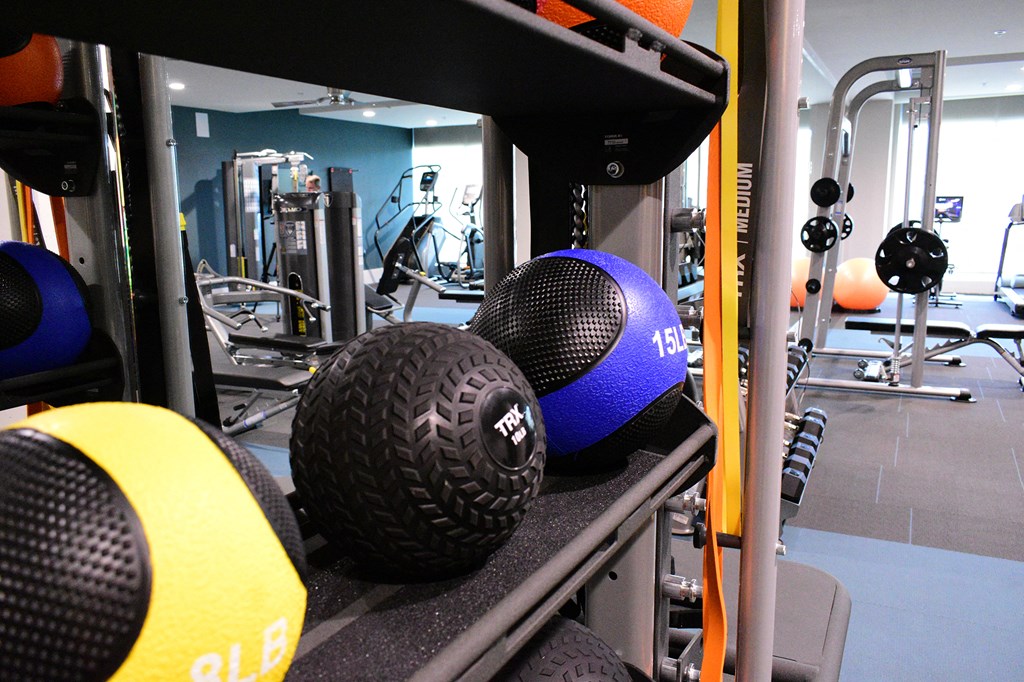 a row of dumbbells on a rack in a gym