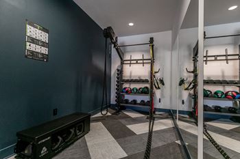 A gym with a bench, ropes, and a wall-mounted schedule.