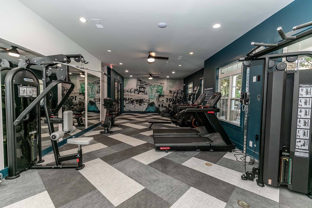 a gym with weights and cardio equipment in a home gym