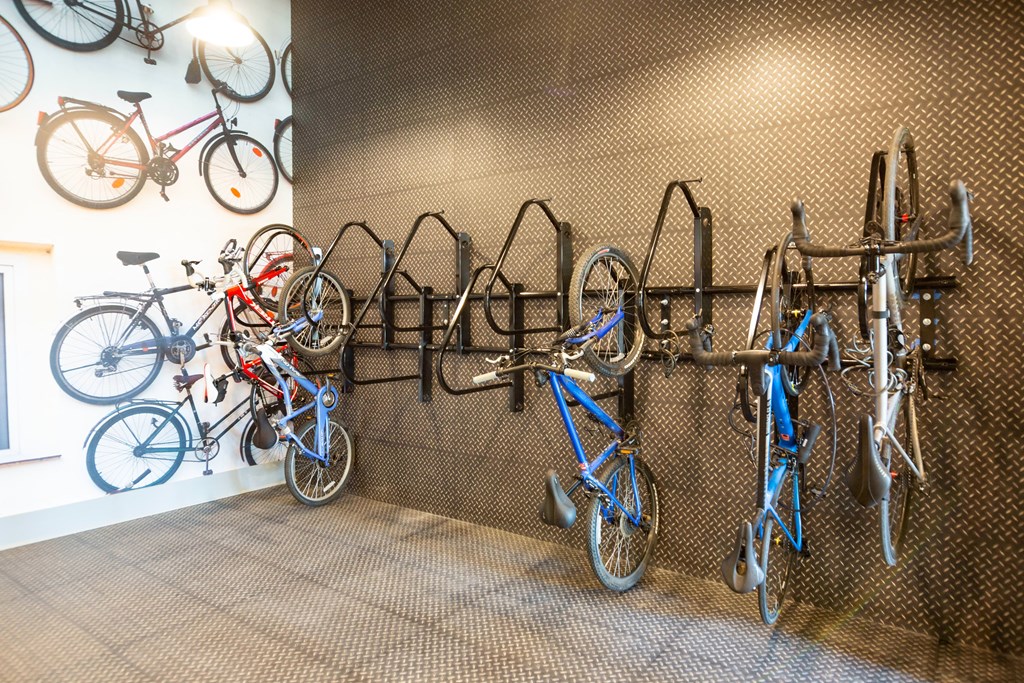 a row of bikes hanging on a wall in a bike shop