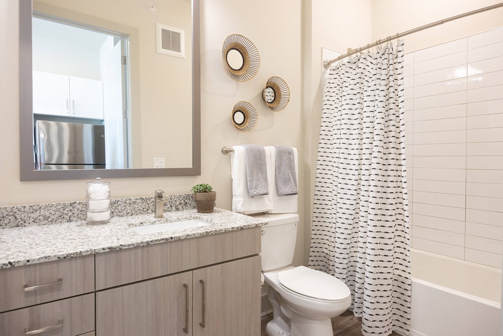 a bathroom with a shower toilet and sink and a mirror