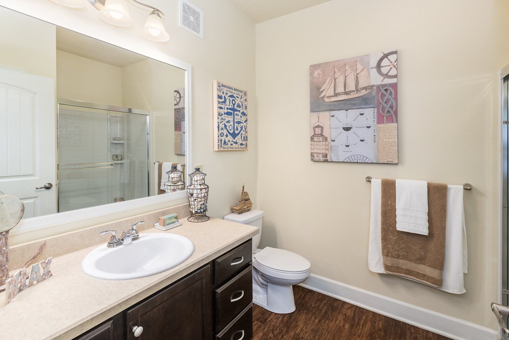 a bathroom with a mirror and a toilet and a sink