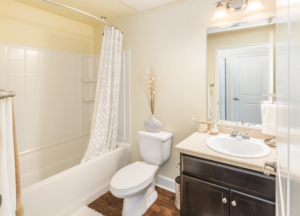 a bathroom with a shower toilet and sink and a mirror